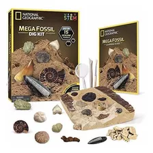 Juego De Ingenio National Geographic Mega Fossil Dig Kit - E
