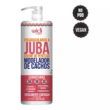 Encaracolando A Juba Widi Care 1l