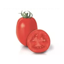 Sementes De Tomate Hibrida Saladete Ravena Para Plantio