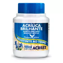 Tinta Acrilica Brilhante 100ml Acrilex #03310