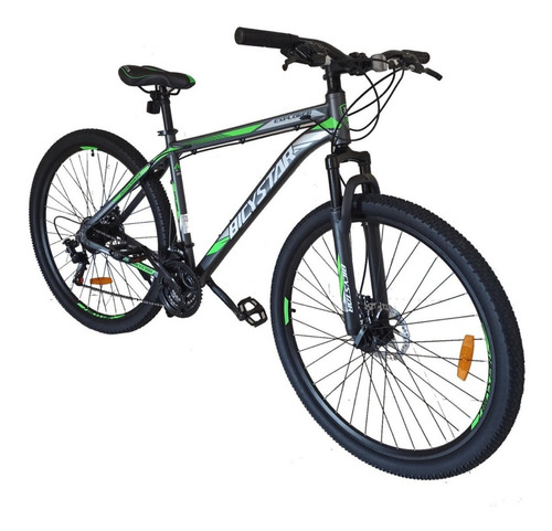 Mountain Bike Bicystar Mtb 21v Frenos De Disco Mecánico Color Verde Con Pie De Apoyo