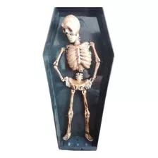 Esqueleto Divertido Bailarin - Baile 