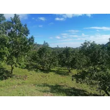 Venta Finca En Najayo San Cristobal