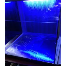 Cabina De Flujo Laminar Con Luz Uv Acero, Cultivo Hongos Fun