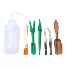 Ginsco 7pcs Transplante Suculento Miniatura De Hadas Jardine