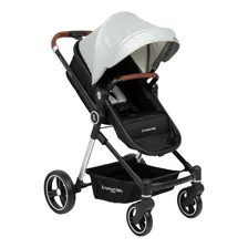Coche Bebé Moises Aston Premium Baby Collection