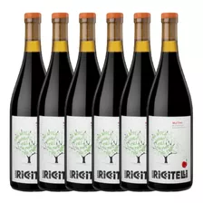 Vino Riccitelli The Apple Malbec 750ml Caja X6 - Gobar®