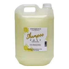 Shampoo Keratinico Pre Y Post Tratamientos 5ltr