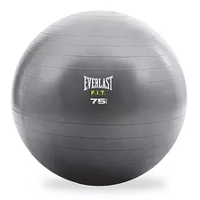 Pelota De Estabilidad - Everlast Oficial