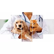 Quadros Decorativo Clinica Veterinária Cachorro Gato 5 Peças