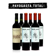 Vino Viñas De Payogasta - Combo Payogasta Total 2020