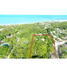 Excelente Área Plana De 4287m². Fora Da Apa. A 150 Metros Praia Dos Nativos - Trancoso.