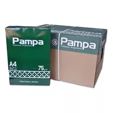 Caja X5 Resmas A4 75 Gr Pampa Papel Obra Blanco 