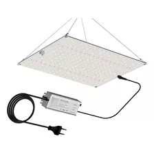 Quantum Board 600w Ir Uv Cultivo Indoor Grow Full Spectrum