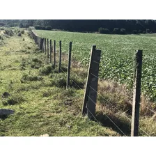 Campo En Soriano, Perseverano 30 Hás