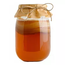 ¡ Haz Tu Propia Kombucha ! Kit Iniciador Scoby + Concentrado