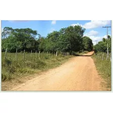 172ha Terras Em Alagoinhas, Bahia!