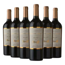 Bodega Federico Mena Saravia Centenaria Malbec Año 2019 X6