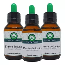 3 Extratos De Dente De Leão 60ml 