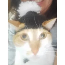 Gorro Con Bufanda Para Gato Tejido A Mano Crochet