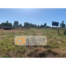 Sitio Industrial En Arriendo En Osorno