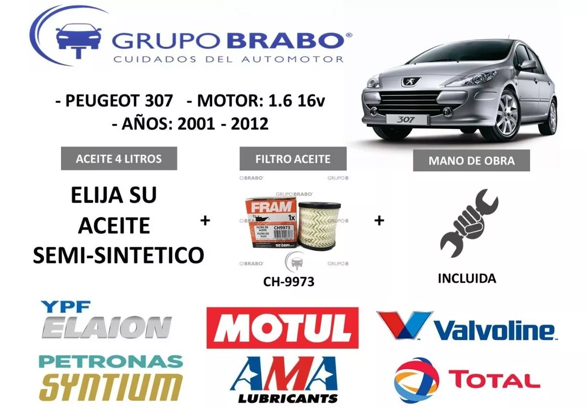 Cambio Aceite Y Filtro Peugeot 307 1.6 16v Del 2001 Al 2012