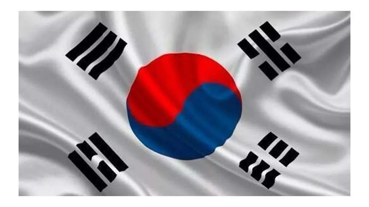 Bandera Corea Del Sur 1.50x90cm Exterior Grande