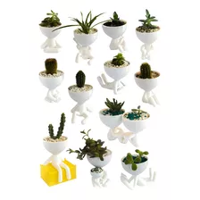 15 Macetas 3decofriendly Suculentas Cactus Robert Plant