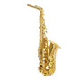 Tercera imagen para búsqueda de estuche saxofon alto
