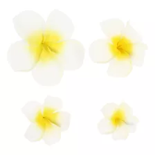 Pinzas Para El Pelo Con Flores Hawaianas, Broche De Novia Tr