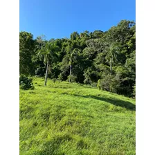 Te Vendo Excelente Finca En Cupey/puerto Plata.