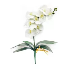 Kit 2 Orquideas Branca Com 2 Folhas E Raizes Silicone 