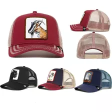 Gorra De Béisbol De Animales De Dibujos Animados