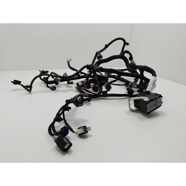 Chicote Do Motor Injeção Ford Ecosport 1.5 2020 7