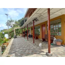 Finca En Venta Santa Elena , Vista Al Campo, Fuente Hídrica Propia, Gangazo