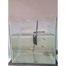 Acuario Grande Con Peces Y Filtro Incluidos