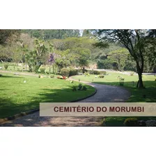 Jazigo Cemitério Morumbi - Área Nova - Sem Uso