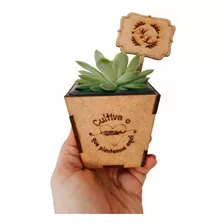 45 Lembrancinha Mini-cachepô Suculenta Mdf Personalizado 