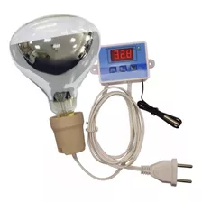 Aquecedor C/ Controle De Temperatura Digital Para Aves E Pet Cor 250w 220v