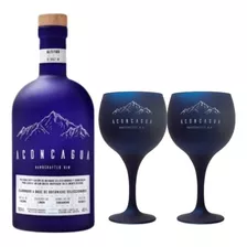 Gin Aconcagua Handcrafted 750ml + 2 Copones Combo Azul Dry