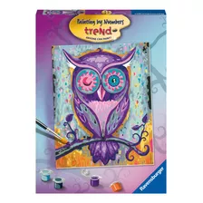 Ravensburger Dreamy Owl - Kit De Pintura Por Números Para .