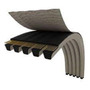 Banda Multiple Bx97 Dentada ( 3 Costillas ) Black Gold