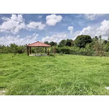 Vendo Esta Finca De 460 Tareas En Monte Plata