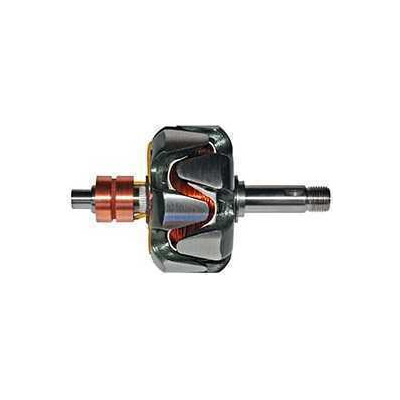 Rotor Alternador Para Monza D20 Kadet Monza Renau 52256671