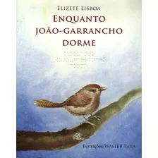 Enquanto João Garrancho Dorme - Com Braile, De Lisboa, Elizete. Editora Pia Sociedade Filhas De São Paulo Em Português, 2014