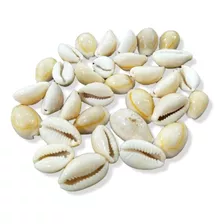 Buzios Branco Natural Fechado - Pacote Com 1kg 