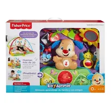 Gimnasio Fisher Price 20min. Musica Y Luces Perrito Puppy 