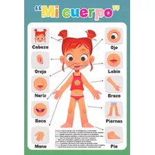 Poster Educativo Mi Cuerpo Mujer A3+ Fotográfico