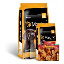 Maxine Cachorro 21+1,5 Kg Super Premium + Snacks! Racionya