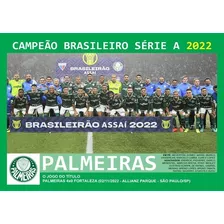 Pôster A4 - Palmeiras